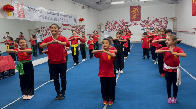 跨越重洋，云端共襄武韵绵长 ——中阿武术云课堂架起文化交流新桥梁